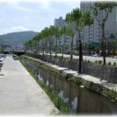 신흥제분 이미지