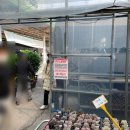 직거래장터마트 | 3월의 꽃밭, 성남시 화훼농가직거래장터 탐방 후기!