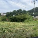 아롱다롱펜션 이미지