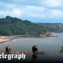 Pressed dr 이미지