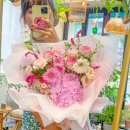 프롬니나 이미지