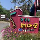 띠아모 펜션 | 경주 펜션 <띠아모 - 제멜리> 후기