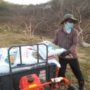 손주들농장 이미지