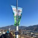 제23회 광양 매화축제 주차장, 셔틀버스, 유모차가능코스