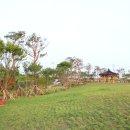 비비정 상생 도시숲 이미지