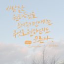 숙이언니 이미지
