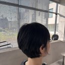 지축 미용실 그레이큐브 방문 후기 ✂️ 송이 디자이너 볼륨매직 보브컷