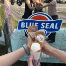 (주)굿모닝 렌터카 | Holiday in Okinawa 2🏝️ | 라젠트 차탄 | 비세자키 | 아메리칸빌리지 | 국제거리