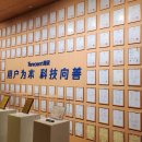 도도글로벌