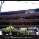 뽕뽕이약국 이미지