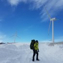 부엉이목장 이미지