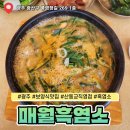 산동교 | 광주 신창동 맛집 매월흑염소 산동교직영점 후기