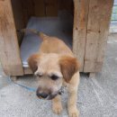 장백농장 이미지