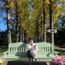 나주자원 이미지