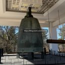 신정시장앞(31105) (옥외1) | 경주 2박 3일 여행 2일차 코스 ㅣ 국립경주박물관 신라금관전 예약팁 중앙시장 황리단길 저녁