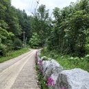 승희농장 이미지