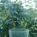 커피하우스117 이미지