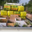 지인농장2 이미지