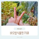 매송고색로 | 화성 바오밥식물원카페 솔직후기 아이랑 가기 좋은 실내 식물원카페 : )