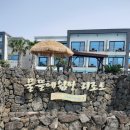 물뜰에쉼팡리조트 | [제쁘리뷰] 제주도 숙박 물뜰에쉼팡리조트 / 큰 수영장이 있는 자유로운 리조트