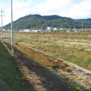 원평공원 이미지