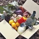 소리마을협동조합 이미지