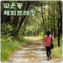 [영월여행] 모운동 해피트레킹 - 슬로트레킹과 산골밥상의 만남 이미지