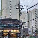 살롱알제