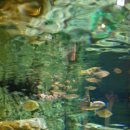 물멍스테이 이미지