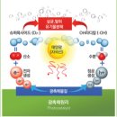 광진방역솔루션