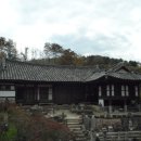 사람박물관얼굴 이미지