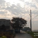 장안1리경로당 이미지