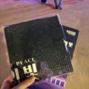 평화의 문 | 통영 2025국가유산 미디어 아트 l 통제영 평화의 빛 후기