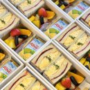 서울여자대학교 | [노원구 공릉동 단체도시락] 서울여자대학교 샌드위치 도시락 단체주문 배달 후기