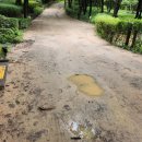 한솔화원 이미지