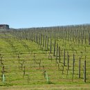 하니농장 이미지