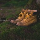 산정호수 가족글램핑장