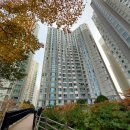 평택무지개약국 이미지