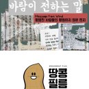 필름