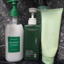 로즈마리 | [PX추천] 🌿 PX 꿀템 발견! 아로마티카 로즈마리 컨디셔너 솔직 후기 @202603