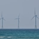 부영목장 이미지