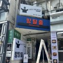언더더씨 | 신촌방탈출 프로젝트30 &lt;언더더씨&gt; 탈출 후기
