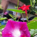 시인의마음 이미지