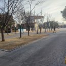 까치노래연습장 | 수원 만석공원 산책 완벽 가이드 | 정조대왕도 반한 저수지 공원 + 봄 축제까지! 벚꽃 정자동 주말산책