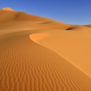 신흥동물병원 이미지