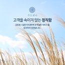 전국상조통합서비스 이미지