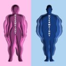 시드니짐 이미지