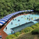 고란길(길안면) 이미지