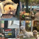 (주)에이아이쎌 | 테이블에이 홍대 아기랑 내돈내산후기, 주차부터 체험까지 한번에 정리!