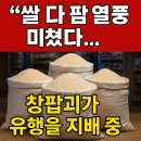 쌀팜 이미지